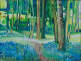 Aquarelle sur papier  jacinthes des bois, 2026