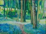 Jonquilles des Bois, aquarelle sur canson